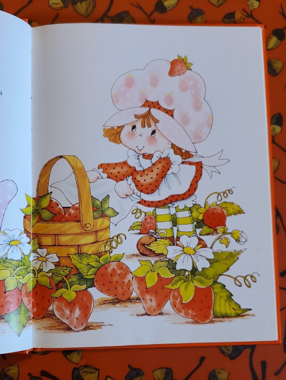 Strawberry Shortcake and the Deep Dark Woods - Orange Kids Story Book - Picture 7 of 8